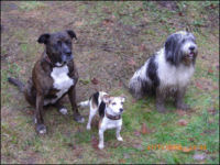 Die Gang: Shiva, Lizzy, Jule