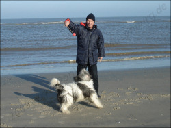 Schleuderball am Strand Schleuderball am Strand