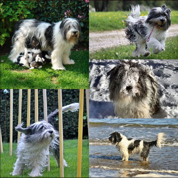 Unser Julchen Unser Julchen