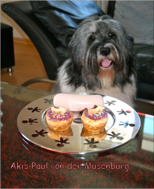 Akis-Paul von der Musenburg Akis-Paul von der Musenburg