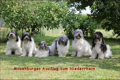Ein Tag am Niederrhein Ein Tag am Niederrhein