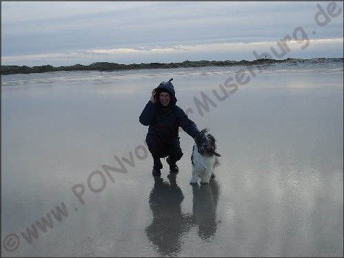 Nein, Herrchen und ich wandeln nicht auf dem Wasser, sondern auf vereistem Strand - toll!