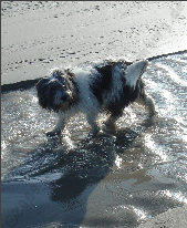 PON Gruß von der Nordsee