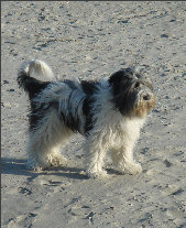 PON Gruß von der Nordsee PON Gruß von der Nordsee