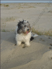 PON Gruß von der Nordsee PON Gruß von der Nordsee