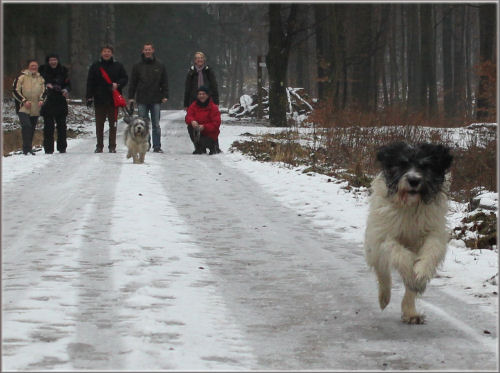 Wettrennen Wettrennen