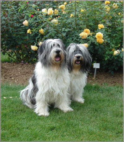 Rosarium Sangerhausen Rosarium Sangerhausen