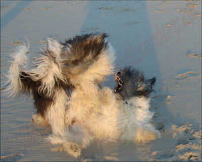Grrr-lass mich in Ruhe!! Grrr-lass mich in Ruhe!!
