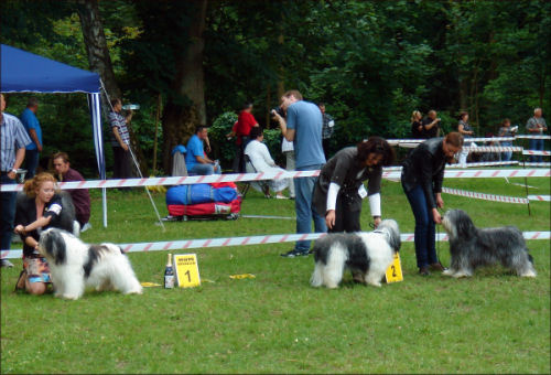 Aliki von der Musenburg Aliki von der Musenburg