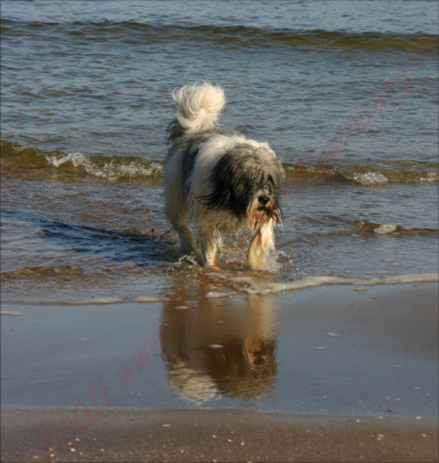 Spieglein, Spieglein! Spieglein, Spieglein!