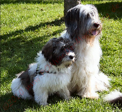 Aliki und Mama Jule