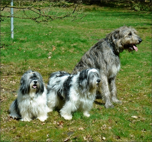 Treffen Treffen
