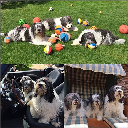 Treffen Treffen