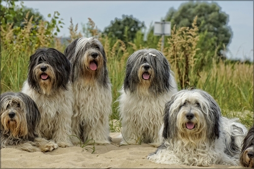 Treffen Treffen