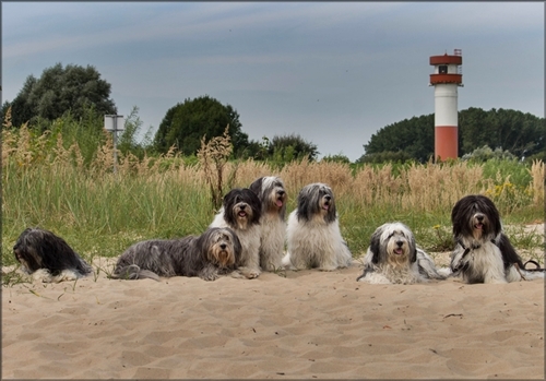 Treffen Treffen