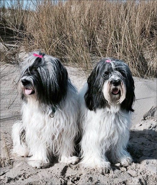 Aliki und Nele Aliki und Nele