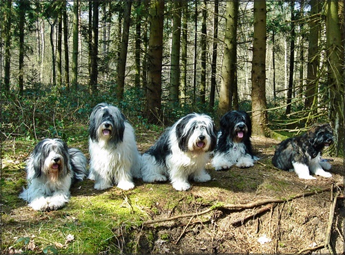 Aliki und Co. Aliki und Co.