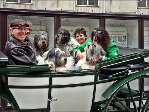 Aliki und Co. Aliki und Co.