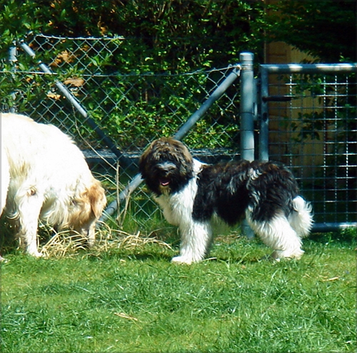 Aliki und Max Aliki und Max