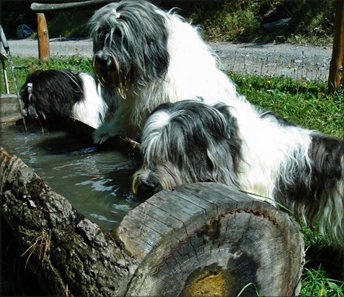 Treffen Treffen