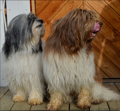 Aliki und Diezel Aliki und Diezel