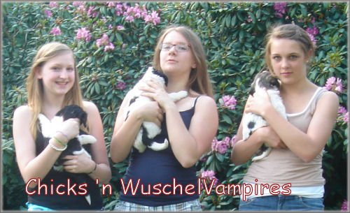 Babies mit Biss!