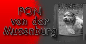 www.PONvonDerMusenburg.de